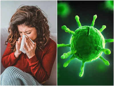H3N2 Virus : নয়া ইনফ্লুয়েঞ্জার দাপট বাড়ছে রাজ্যে, এই সহজ কয়েকটি কৌশলেই রোগ থাকবে দূরে
