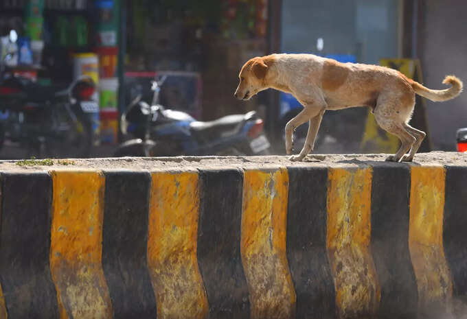 GTB अस्पताल: वैक्सीन पर्याप्त, मगर लगती है लंबी लाइन