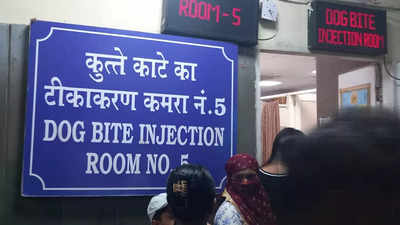 डॉग बाइट बढ़ने पर आंकड़ों में खेल, दिल्ली का यह इलाका डॉग बाइट के मामले में टॉप पर देखें