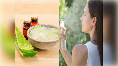 Aloe Vera For Skin: সোনার মতো চকচকে ত্বক পেতে লাগবে না দামি ক্রিম! অ্যালোভেরার সঙ্গে এই উপাদান মিশিয়ে মুখে মাখুন