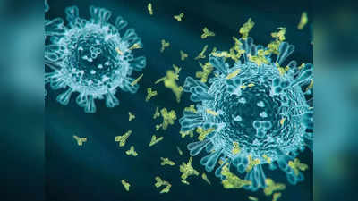 निदान झाल्यास देणार टॅमिफ्लू; H3N2 सदृश्य फ्लू वाढल्याने मुंबई महानगरपालिकेचे निर्देश