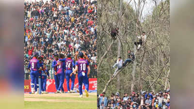 Nepal Cricket Fan : বলিহারি ক্রিকেট প্রেম! গাছের মগডালে চড়ে টি-২০ ম্যাচ দেখলেন ভক্তরা