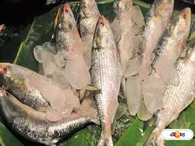Kolkata Market Price: চৈত্র মাসেও মাছ বাজারে মিলছে ইলিশ, দাম কত?