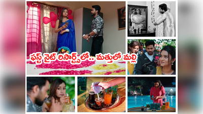 Malli Serial మార్చి 17 ఎపిసోడ్: మాలిని-అరవింద్ ఫస్ట్ నైట్.. మల్లి ఎంట్రీతో సీన్ సితార్