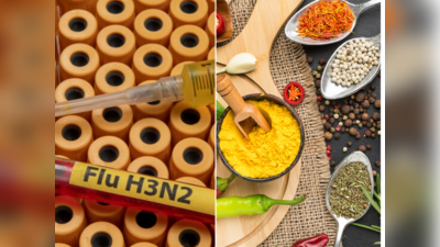 Spices for H3N2 Virus: એચ3એન2 ઇન્ફ્લૂએન્ઝાના શરદી-ખાંસીના લક્ષણોને દૂર કરશે આ 5 મસાલા, જાણો શું કહે છે રિસર્ચ