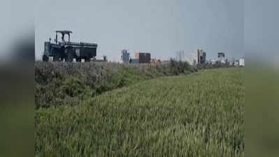 Udham Singh Nagar: नैशनल हाइवे पर खेती कर रहे किसान, 27 लाख की फसल कोऑपरेटिव को बेची, अधिकारियों में मचा हड़कंप