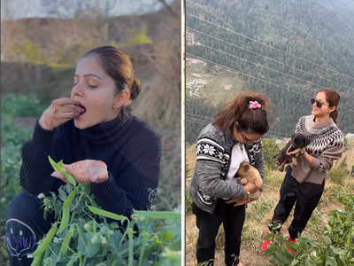 Rubina Dilaik: पंजाबी पति के साथ गांव में रुबीना दिलैक के ठाठ-बाट, खेतों से तोड़ी सब्जी और पकाया पहाड़ी खाना