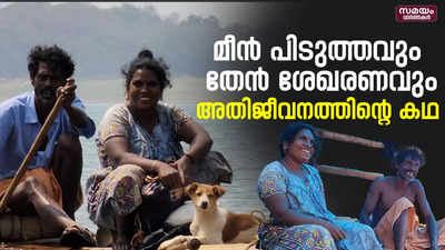 അഞ്ചുരുളി ആദിവാസി കുടിയിൽ നിന്നും ഇടുക്കി ജലാശയ തീരത്തേക്ക് | Tribal Families