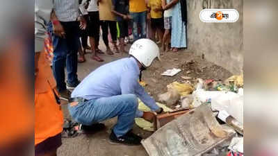 Kolkata News : কাকে ছিঁড়ে খাচ্ছে সদ্যোজাতের দেহ! ভয়ঙ্কর দৃশ্যের সাক্ষী শহর