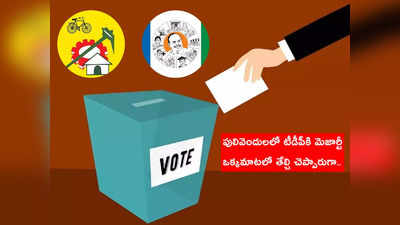 AP Mlc Election Result: పులివెందులలో వైసీపీ కంటే టీడీపీకి ఎక్కువ ఓట్లు.. అసలు సంగతి ఇదీ 