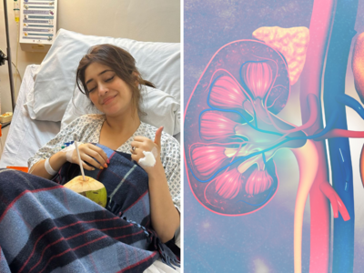 24 वर्षीय शिंवागी जोशीला Kidney Infection, दिसली ही 8 लक्षणं, अभिनेत्रीचा हा सल्ला खूप महत्त्वाचा आणि इशा-याचा