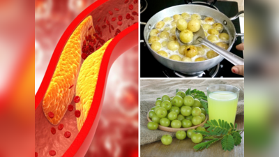 Amla For Cholesterol: दिल के दुश्मन कोलेस्ट्रॉल-ट्राइग्लिसराइड को छानकर बाहर निकाल देगा आंवला, बस ऐसे करें यूज