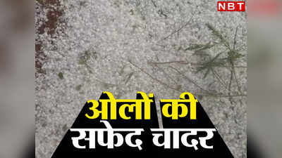 Lalitpur Hailstorm: ओलों से मेहनत चौपट... 30 गांव की फसलें तबाह, SDM के सामने फफक पड़े किसान