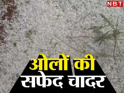 Lalitpur Hailstorm: ओलों से मेहनत चौपट... 30 गांव की फसलें तबाह, SDM के सामने फफक पड़े किसान