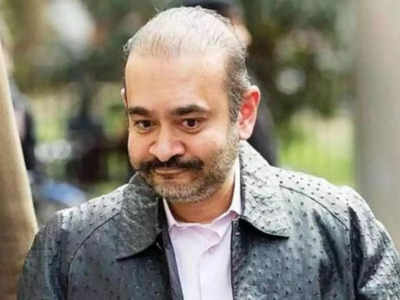 Nirav Modi Scam: નીરવ મોદીની કંપનીના બેન્ક ખાતામાં માત્ર 236 રૂપિયાઃ લિક્વિડેટરનો ધડાકો