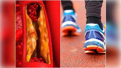 Exercise For Cholesterol: এই ৪ সহজ ব্যায়ামে ওষুধ ছাড়াই কমে কোলেস্টেরল! রোজ মাত্র ৩০ মিনিটেই মিলবে ফল