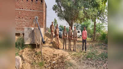 Hamirpur में नलकूप का पानी पीने से एक सांड़ समेत 8 गायों की मौत, 2 जानवरों को डॉक्टरों ने बचाया