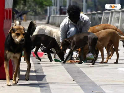 Street Dog : মহানগরে পথ কুকুর লক্ষাধিক, তাড়াতাড়ি আবার নির্বীজকরণ