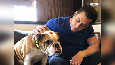 Salman Khan Gets Threat : ই-মেলে মৃত্যুর সমন, ফের সলমানকে হুমকি লরেন্স বিষ্ণোই গ্যাংয়ের