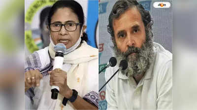 Mamata Banerjee On Rahul Gandhi : মমতার টিআরপি তিরে বিদ্ধ কংগ্রেস হাইকম্যান্ড