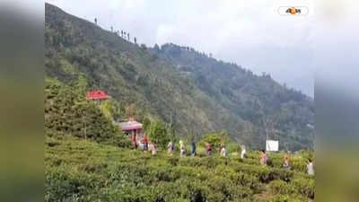 Darjeeling Tour : পাহাড়ে জ্যাম-যন্ত্রণা থেকে রেহাই? পর্যটনের মরশুমে পুলিশি ব্যবস্থার আমূল পরিবর্তন