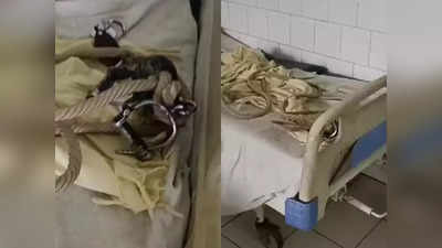 कौन किसी को बांध सका..., कुछ इसी फिल्मी स्टाइल में बिहार के अस्पताल से फरार हो गया कैदी
