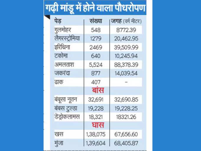 ​गढ़ी मांडू में होने वाला पौधरोपण की डीटेल