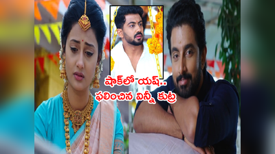 Ennenno Janmala Bandham మార్చి 20: వేద గుండె ముక్కలవ్వడం చూసి సంబరపడ్డ విన్నీ.. కీలక మలుపు