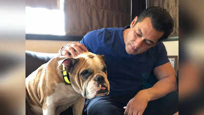 2850 करोड़ की संपत्त‍ि के मालिक हैं Salman Khan, फिर भी 1BHK फ्लैट में रहते हैं, घर में है सिर्फ एक सोफा