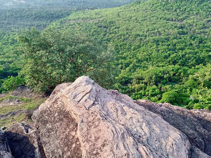 టామియా హిల్‌స్టేషన్..