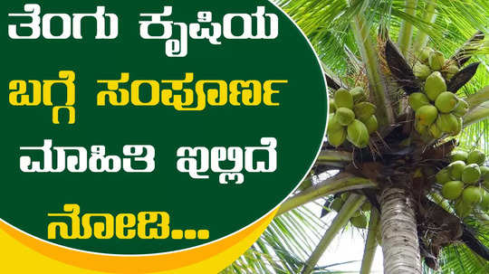 coconut farming guide