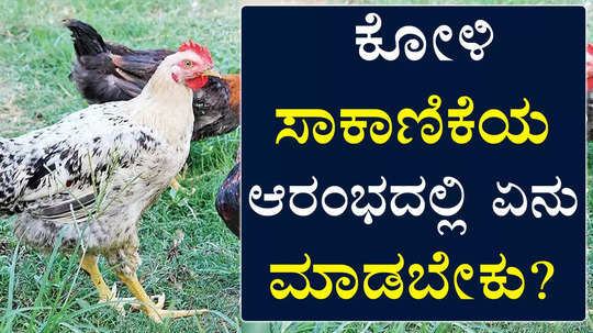 part 01 poultry farming information by sunil