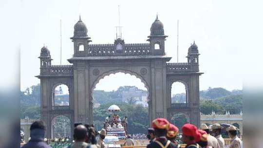 countdown started to the historic jamboo savari in mysore dasara