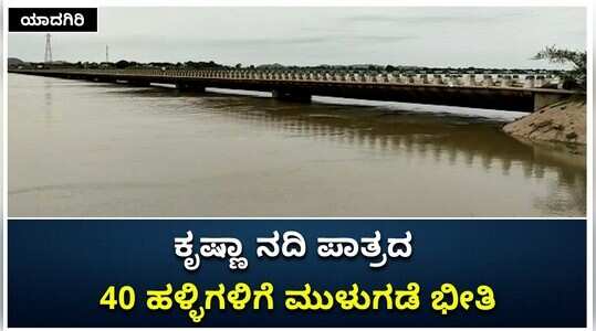 ಯಾದಗಿರಿ: ಕೃಷ್ಣಾ ನದಿ ಪಾತ್ರದ 40 ಹಳ್ಳಿಗಳಿಗೆ ಮುಳುಗಡೆ ಭೀತಿ