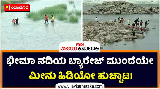 fishermen try to catch fish in bhima river near yadagiri despite of flood situation