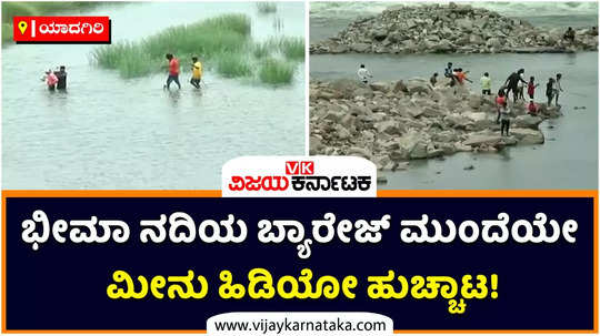 fishermen try to catch fish in bhima river near yadagiri despite of flood situation