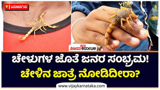 people performs pooja to scorpions in yadgiri