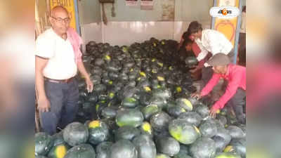 Watermelon Fruit : গরমের শুরুতেই চাহিদা তুঙ্গে, মহারাষ্ট্র থেকে তরমুজ আসছে বাংলায়