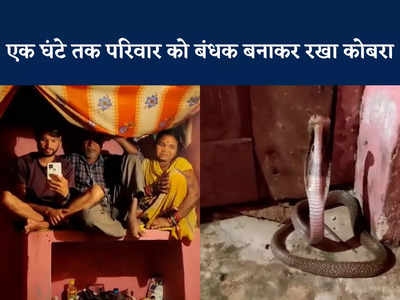 परिवार को खतरनाक कोबरा ने बनाया बंधक, एक घंटे तक फन फैलाकर चौखट पर बैठा रहा