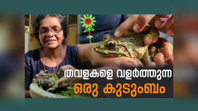 പുഴയിൽ ഒഴുക്കി വിട്ടിട്ടും തിരിച്ചുവന്നു, തവളയെ അരുമയാക്കി ഒരു വീട്ടമ്മ, വീഡിയോ കാണാം