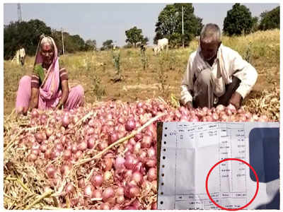 ३५०० हजार किलो कांदा विकला, शेतकऱ्याच्या हातात रुपया नाही, उलट व्यापाऱ्याने १८०० मागितले, अख्खं कुटुंब रात्रभर रडलं...