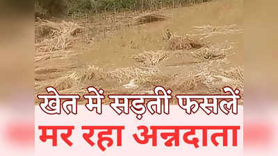 Hamirpur में बारिश से फसल बर्बाद होने से लगा सदमा, गर्भवती महिला की मौत