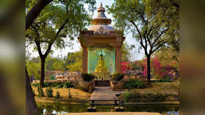 ऐसा क्या है दिल्ली के Buddha Jayanti Park में, जहां हर संडे पहुंच जाते हैं कपल्स