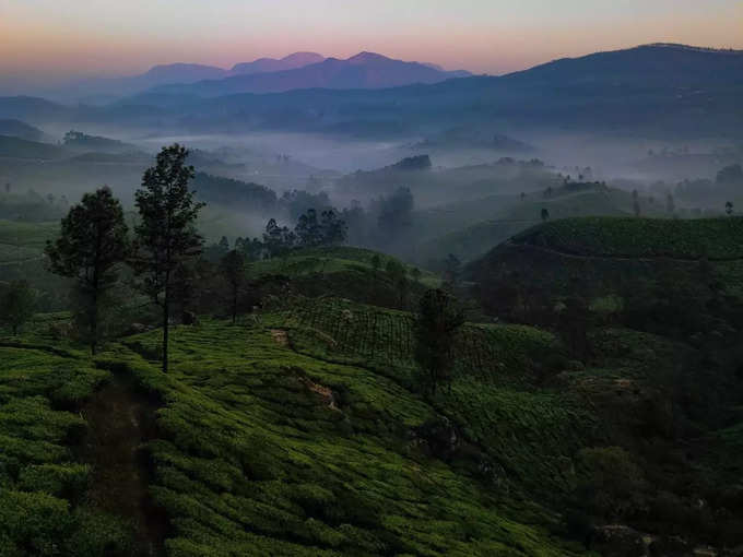 ಇಲ್ಲಿಕಲ್ ಕಲ್ಲು