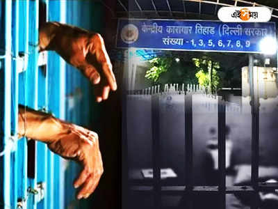Tihar Jail : দুর্ভেদ্য তিহাড়! ৫০ বছরে গরাদ ভেঙে পালানোর ঘটনা মাত্র ৫