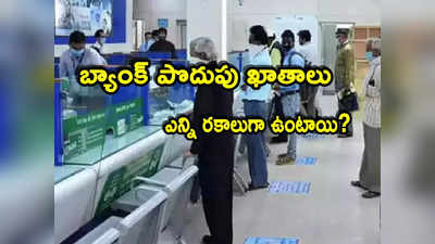 Savings Accounts: బ్యాంక్‌లో సేవింగ్స్ అకౌంట్స్ ఎన్ని రకాలుగా ఉంటాయో తెలుసా? 