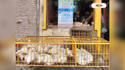 Assam Broiler Chicken Banned : নিষেধাজ্ঞা সত্ত্বেও পোল্ট্রি আমদানির অভিযোগ, কড়া পদক্ষেপ অসম প্রশাসনের