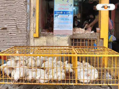 Assam Broiler Chicken Banned : নিষেধাজ্ঞা সত্ত্বেও পোল্ট্রি আমদানির অভিযোগ, কড়া পদক্ষেপ অসম প্রশাসনের