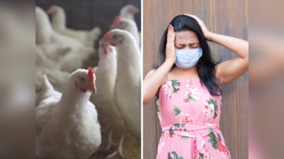 Bird Flu Outbreak: बर्ड फ्लू ची कारणे, लक्षणे आणि उपाय