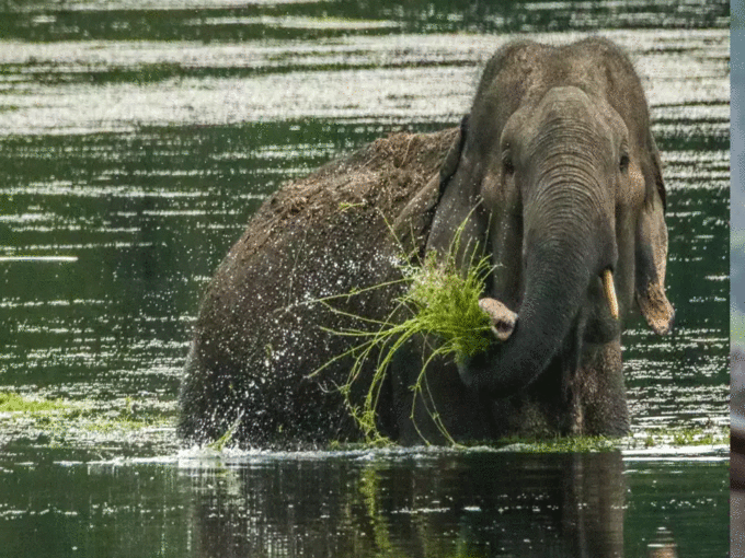 ​60 किलोमीटर रखेगा निगरानी​